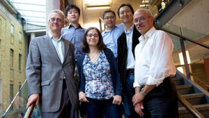 From left: Jim Prall, Jay Li, Eugenia Distefano, Matthew Chow, Yong Lee and Jaro Pristupa.
